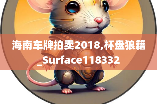 海南车牌拍卖2018,杯盘狼籍_Surface118332