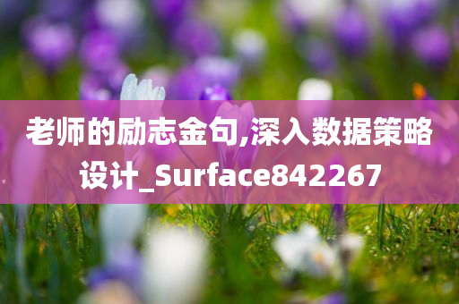 老师的励志金句,深入数据策略设计_Surface842267