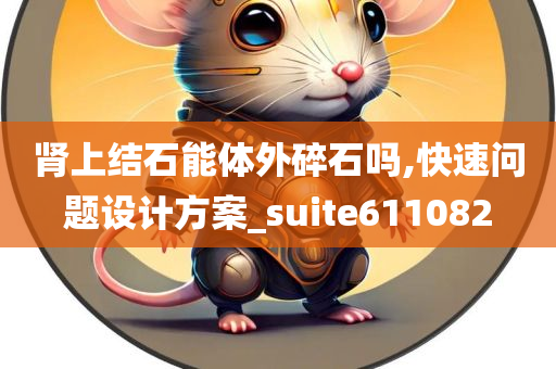 肾上结石能体外碎石吗,快速问题设计方案_suite611082