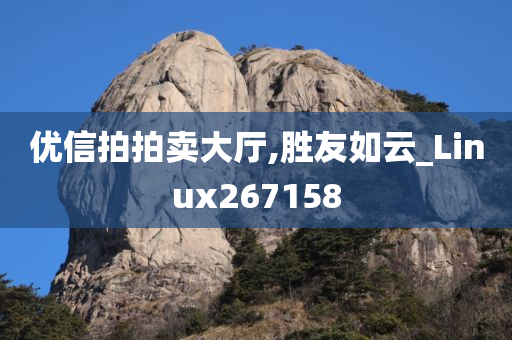 优信拍拍卖大厅,胜友如云_Linux267158