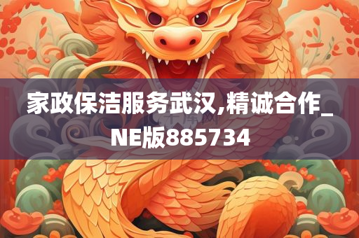 家政保洁服务武汉,精诚合作_NE版885734