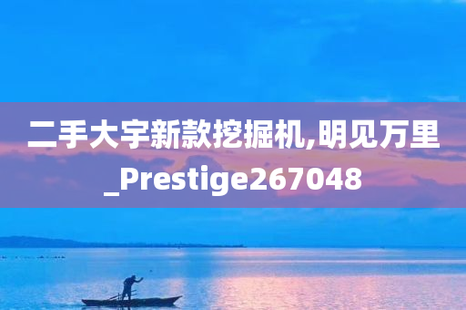 二手大宇新款挖掘机,明见万里_Prestige267048