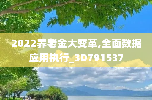 2022养老金大变革,全面数据应用执行_3D791537