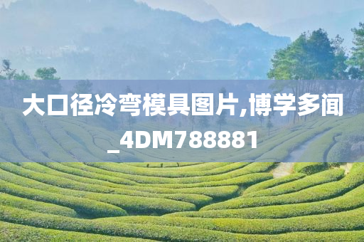 大口径冷弯模具图片,博学多闻_4DM788881