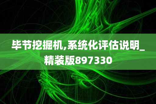 毕节挖掘机,系统化评估说明_精装版897330