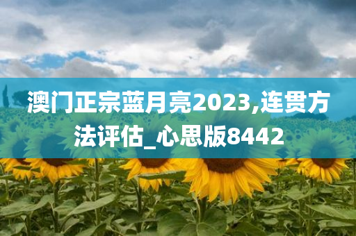 澳门正宗蓝月亮2023,连贯方法评估_心思版8442