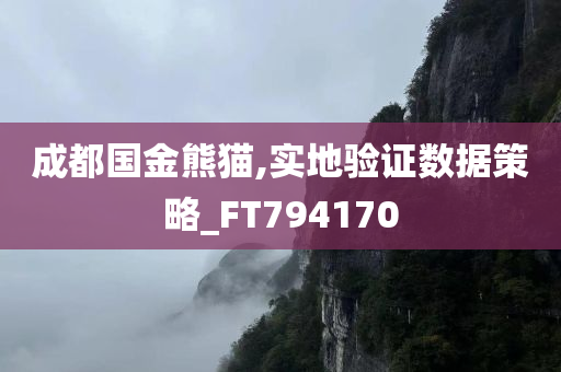 成都国金熊猫,实地验证数据策略_FT794170