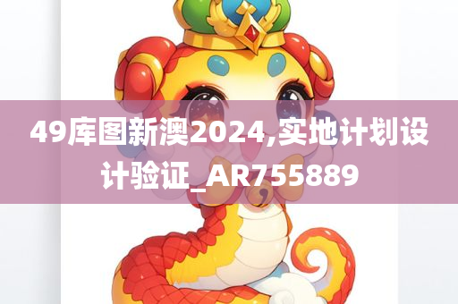 49库图新澳2024,实地计划设计验证_AR755889