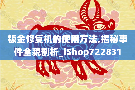 钣金修复机的使用方法,揭秘事件全貌剖析_iShop722831