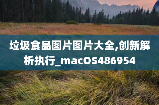 垃圾食品图片图片大全,创新解析执行_macOS486954