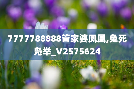 7777788888管家婆凤凰,兔死凫举_V2575624