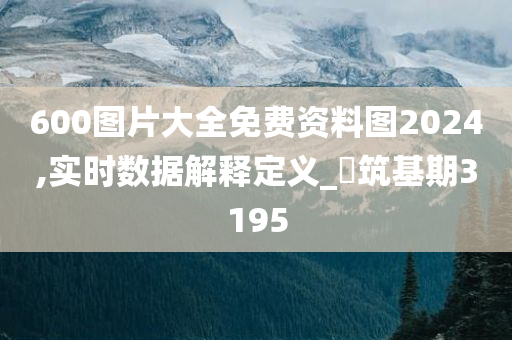 600图片大全免费资料图2024,实时数据解释定义_‌筑基期3195