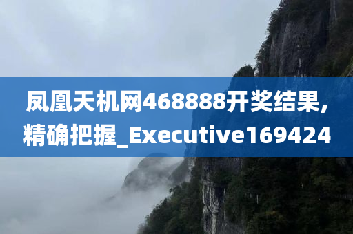 凤凰天机网468888开奖结果,精确把握_Executive169424