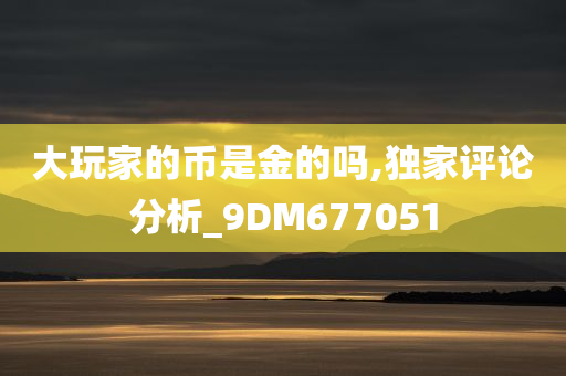 大玩家的币是金的吗,独家评论分析_9DM677051