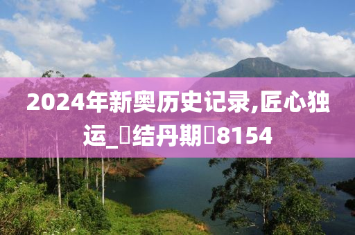 2024年新奥历史记录,匠心独运_‌结丹期‌8154