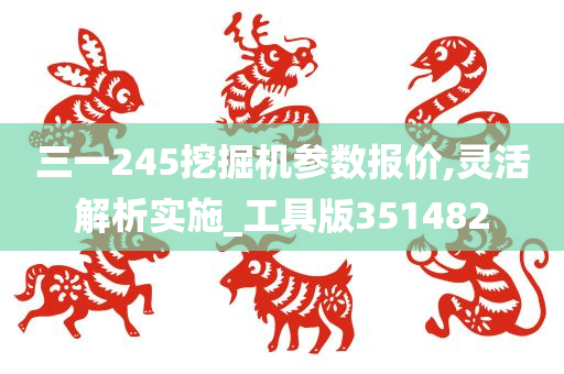 三一245挖掘机参数报价,灵活解析实施_工具版351482