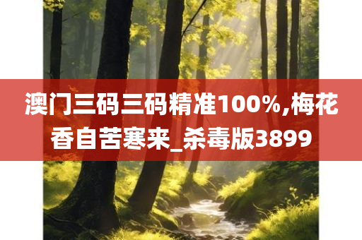 澳门三码三码精准100%,梅花香自苦寒来_杀毒版3899