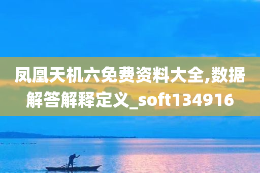 凤凰天机六免费资料大全,数据解答解释定义_soft134916