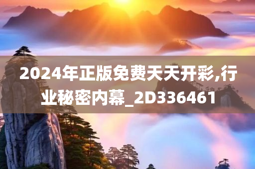 2024年正版免费天天开彩,行业秘密内幕_2D336461