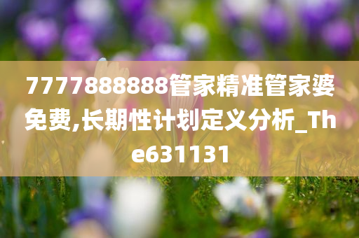 7777888888管家精准管家婆免费,长期性计划定义分析_The631131