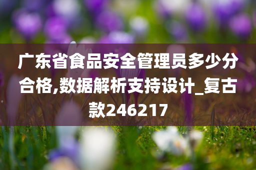 广东省食品安全管理员多少分合格,数据解析支持设计_复古款246217