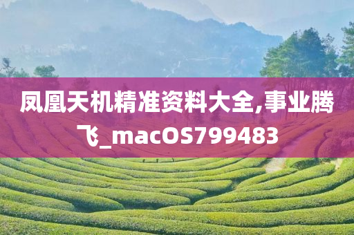 凤凰天机精准资料大全,事业腾飞_macOS799483