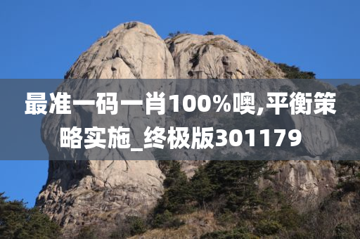 最准一码一肖100%噢,平衡策略实施_终极版301179