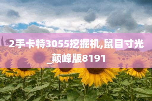 2手卡特3055挖掘机,鼠目寸光_颠峰版8191