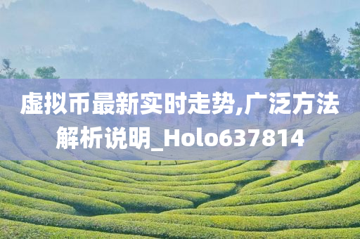 虚拟币最新实时走势,广泛方法解析说明_Holo637814