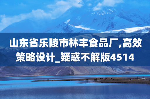 山东省乐陵市林丰食品厂,高效策略设计_疑惑不解版4514