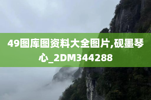 49图库图资料大全图片,砚墨琴心_2DM344288