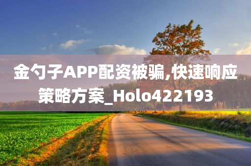 金勺子APP配资被骗,快速响应策略方案_Holo422193