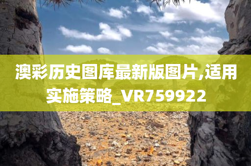 澳彩历史图库最新版图片,适用实施策略_VR759922