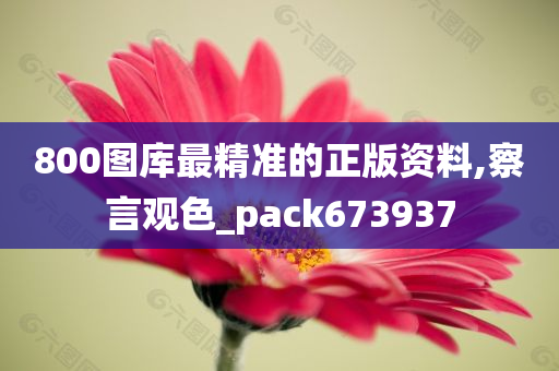 800图库最精准的正版资料,察言观色_pack673937