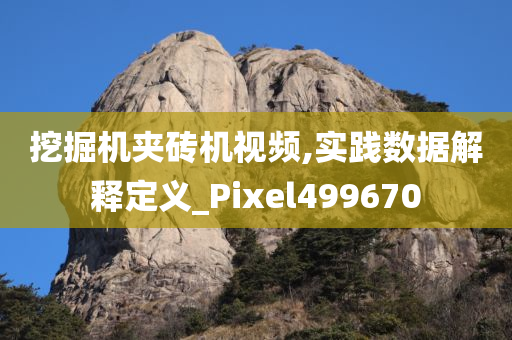 挖掘机夹砖机视频,实践数据解释定义_Pixel499670