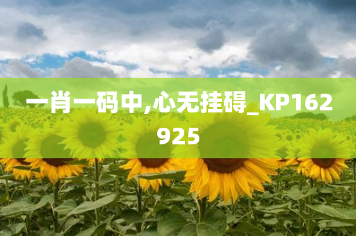 一肖一码中,心无挂碍_KP162925