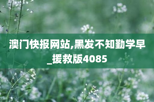 澳门快报网站,黑发不知勤学早_援救版4085