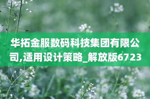 华拓金服数码科技集团有限公司,适用设计策略_解放版6723