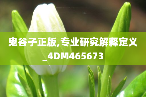 鬼谷子正版,专业研究解释定义_4DM465673