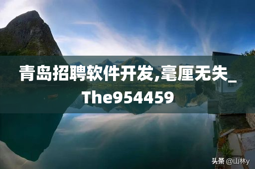 青岛招聘软件开发,毫厘无失_The954459