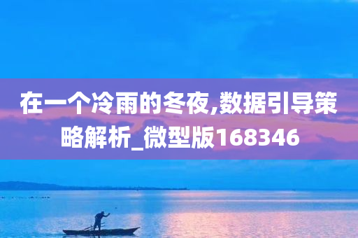 在一个冷雨的冬夜,数据引导策略解析_微型版168346