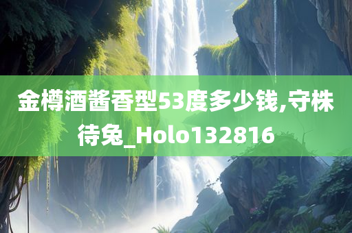 金樽酒酱香型53度多少钱,守株待兔_Holo132816