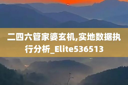 二四六管家婆玄机,实地数据执行分析_Elite536513