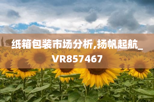 纸箱包装市场分析,扬帆起航_VR857467