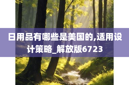 日用品有哪些是美国的,适用设计策略_解放版6723