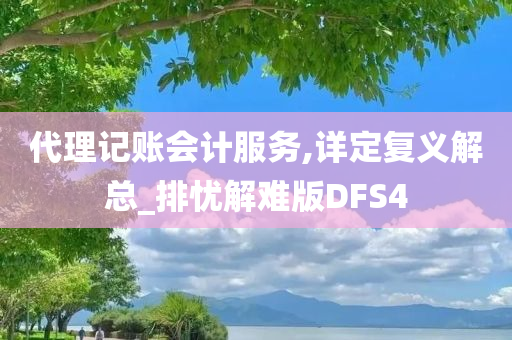 代理记账会计服务,详定复义解总_排忧解难版DFS4