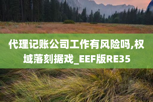 代理记账公司工作有风险吗,权域落刻据戏_EEF版RE35