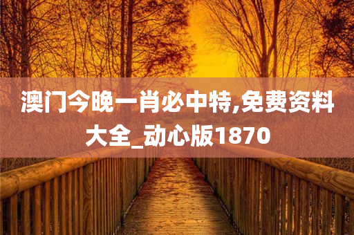 澳门今晚一肖必中特,免费资料大全_动心版1870