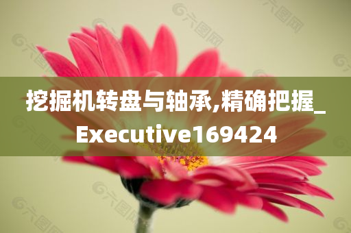 挖掘机转盘与轴承,精确把握_Executive169424