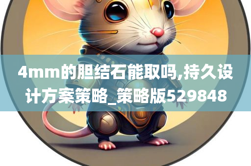 4mm的胆结石能取吗,持久设计方案策略_策略版529848